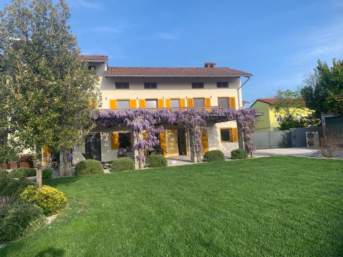 Kostanjevica na KrasuHouse Wisteria公寓 外观 照片